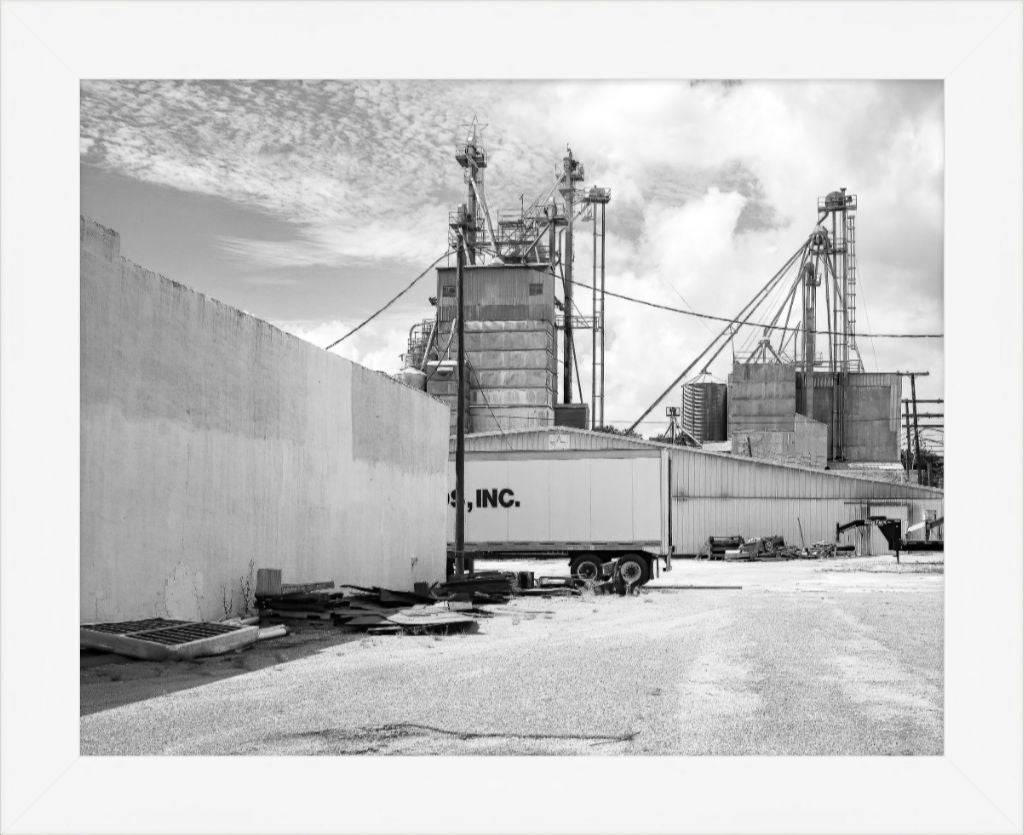 Old Sad Songs Photography - West Feeds in Contemporary White Frame