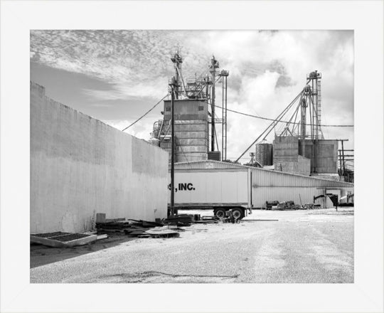 Old Sad Songs Photography - West Feeds in Contemporary White Frame