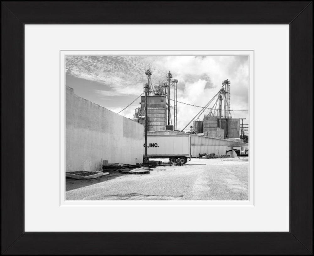 Old Sad Songs Photography - West Feeds in Classic Black Frame