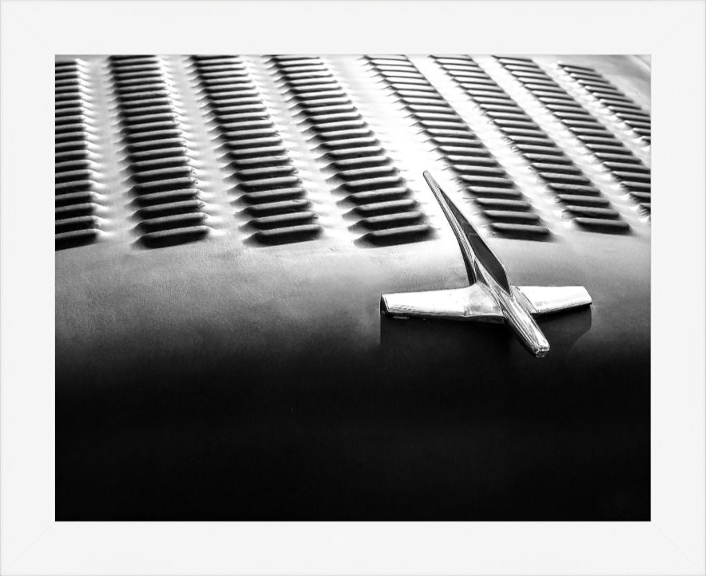 Old Sad Songs Photography - 1955 Ford in Contemporary White Frame